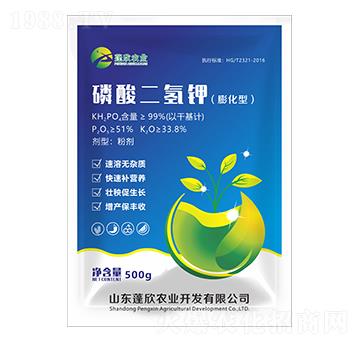 500g������������