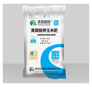 ���S����������׌��ÏͺϷ���28-6-6-ס�̇��H