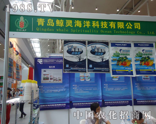 ���u�L�`����Ƽ������\(ch��ng)�Q��(l��i)Ч��