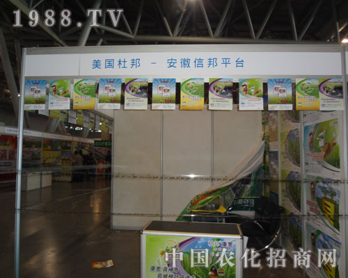 �����Ű�-�����Ű�ƽ�_