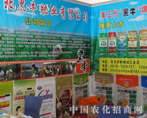 �ӱ���ţ�ʘI(y��)�ںʝ��r(n��ng)�Y���ϵ���Ӱ