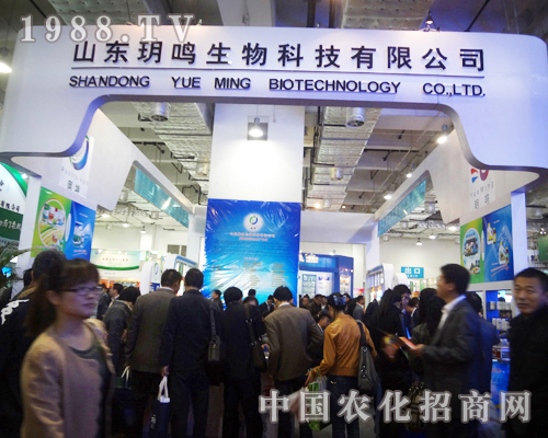 玥鳴科技華麗大氣的展臺(tái)布局