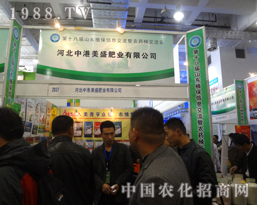 中港美盛火爆招商進(jìn)行中！