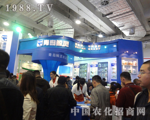     青島鯨靈招商場面異?；鸨?！