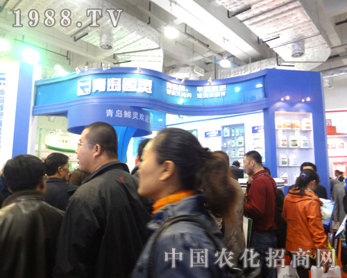     青島鯨靈招商場面異?；鸨?！