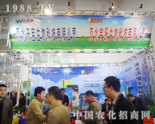 ���S�����A���ǈ���ʮ�ˌ�ɽ�|ֲ��������