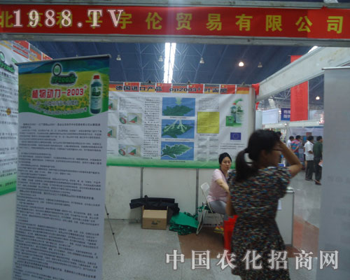 ��ƽ��ذ�����2012����ֲ����