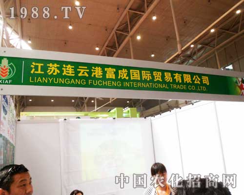 富成國(guó)際2012年新疆農(nóng)博會(huì)展位前人流不斷