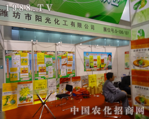 ꖹ⻯�����ŝM�M�ą���2013ȫ��(gu��)�׏�(f��)��չ�[��(hu��)