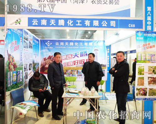 ���v����2013��ʝ��r�Yӆ؛��