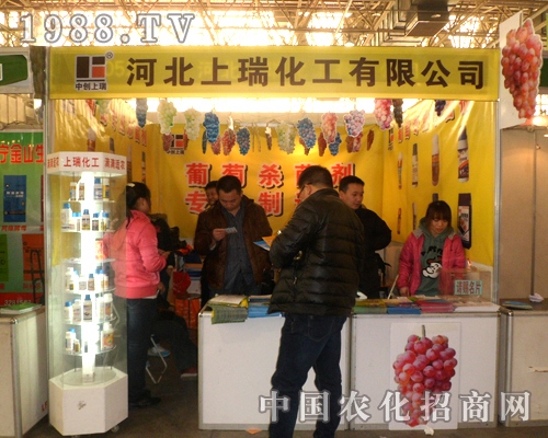 ���𻯹��F��2013���25�úӱ�ֲ��չ