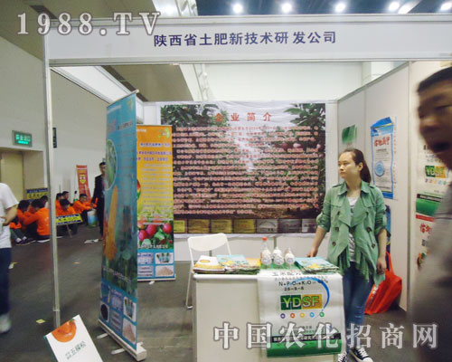 ���������15��ȫ�����Ͻ��ו������̲���