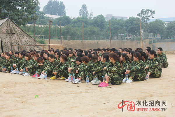 �M���Fꠣ�һ����������