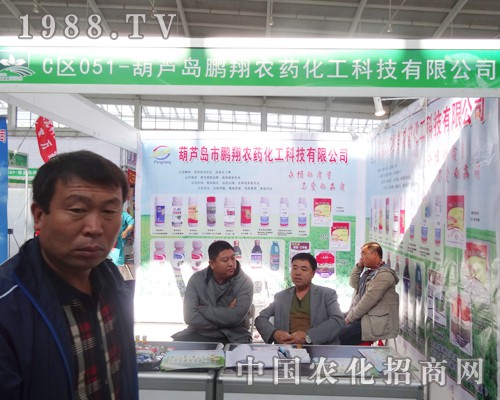 �i���r(n��ng)ˎ���ӵ�ʮ�����(y��ng)�����p����(hu��)