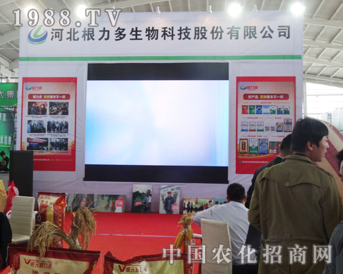  ������������2014���(y��ng)���ϕ�(hu��)��