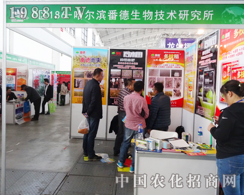 �����������2014��ꖷ����p������