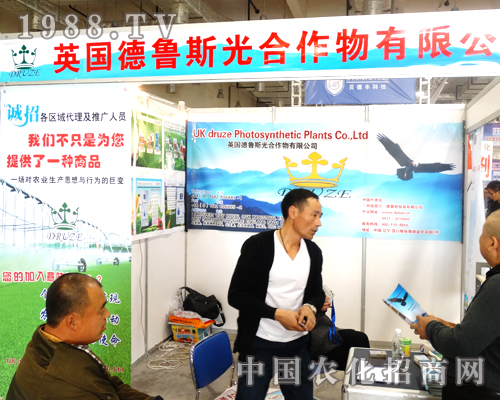 ����˹������(qi��ng)��(sh��)����2014ɽ�|ֲ����(hu��)����������