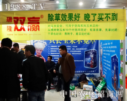 ��¡�p�A��ɽ�|�ʝ��r�Y���ϴ�Ź��