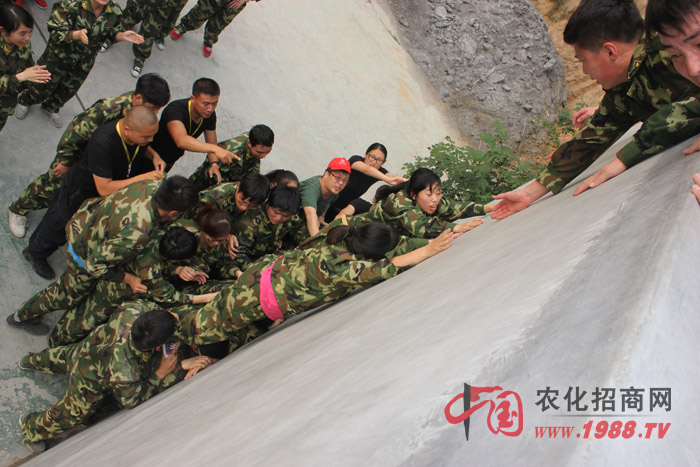 �����y������(zh��n)��ǰ����Ҷ������ľ���������w�F(xi��n)������(zh��n)�������۟��F꠵ľ�����