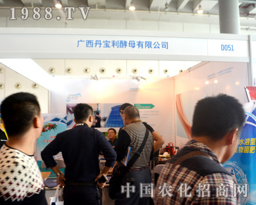 �V����������ĸ��չ2015�����r�Y��