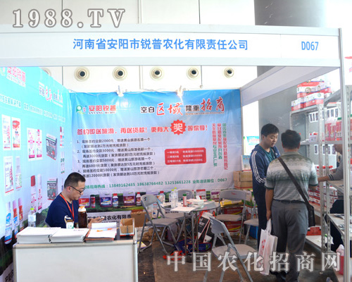 �J���r������2015�ό��r�Y����