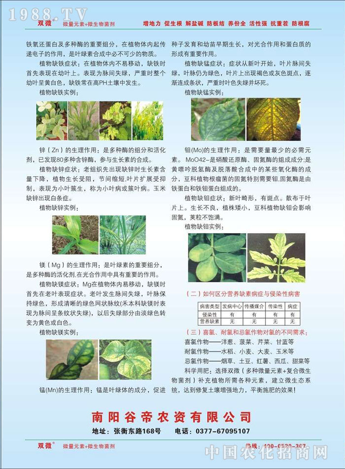 6��ꖹȵ��r(n��ng)�Y���޹�˾