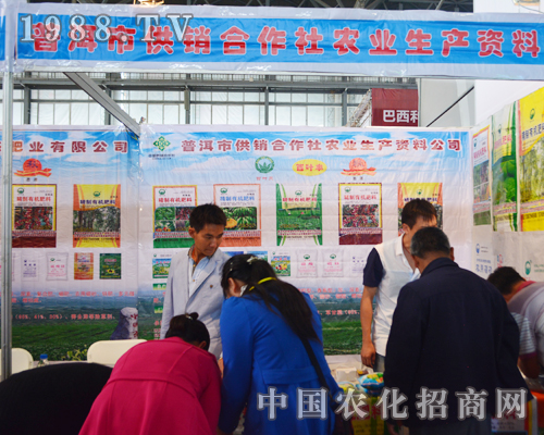 �ն��й��N�����煢Ҋ2015�����r�Y��