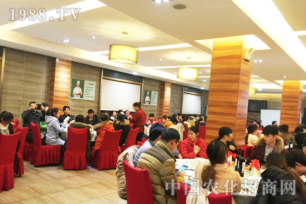 �����е��ഺ�͉���