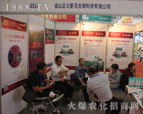 ��ɽ�����⻨�Y�G��2016���(j��)��ֲ������