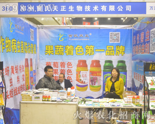 ���ݲ���������2016�������rˎ���ו�����