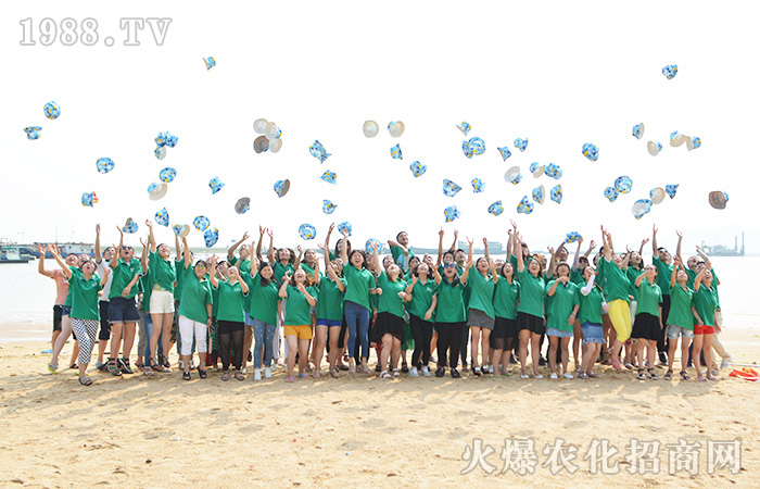     ��������Ƭ��