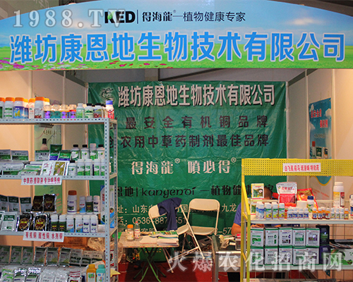 �H�����������＼�g