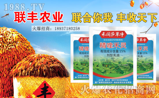 ��(li��n)�S�r(n��ng)�I(y��)��ף���2017�������³�������������H�Қg����