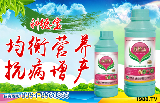 ���ô�Ƶ����F�������޹�˾1