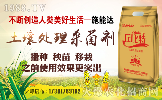 ����ʩ���_(d��)�������F(tu��n)���޹�˾1