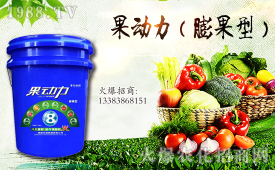 ����ؐʩ���F���޹�˾