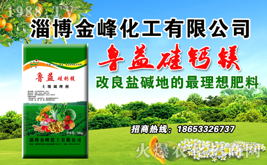 �Ͳ���廯�����޹�˾