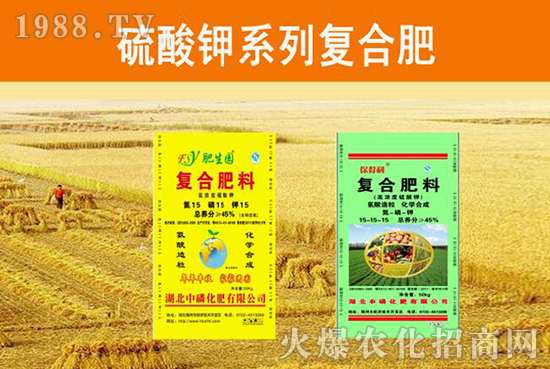 �����׻��ʡ���ף����´��옷�����w�������H���Ҹ����f��������