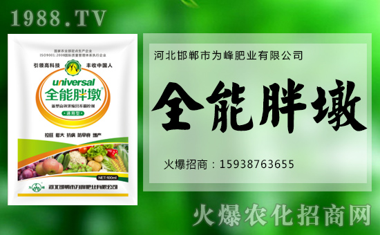 �����ʘI(y��)���o����������ף���´������f(w��n)��������