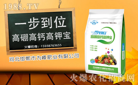 �����ʘI(y��)���o����������ף���´��󼪣��f(w��n)��������