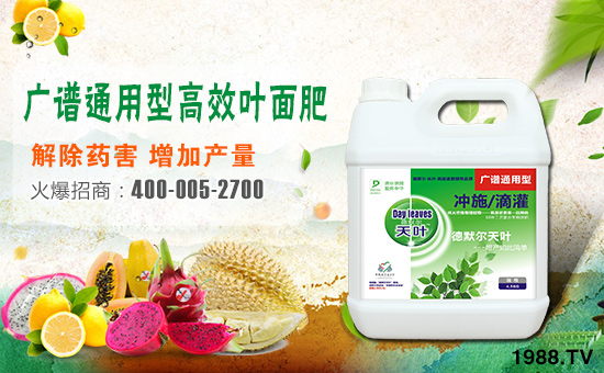 ����Ĭ������I�B(y��ng)��˾2