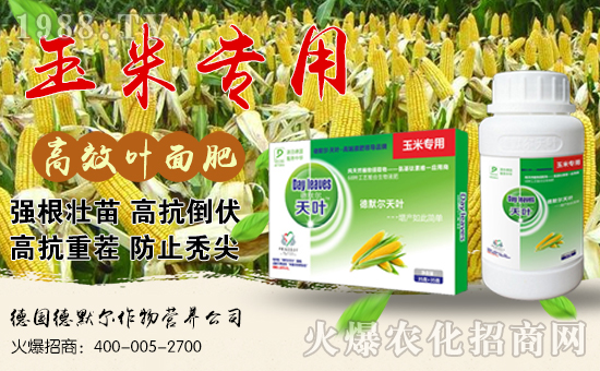 ����Ĭ������I�B(y��ng)��˾1