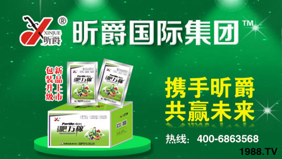 꿾���H���F