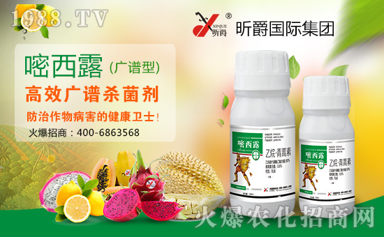 꿾���H���F