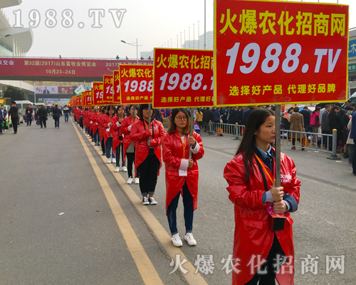 ʮ�����ʮ�����̣�2017��ɽ�|ֲ���������r(n��ng)���W(w��ng)���ʳ�����