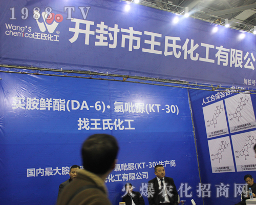 �_�����ϻ���