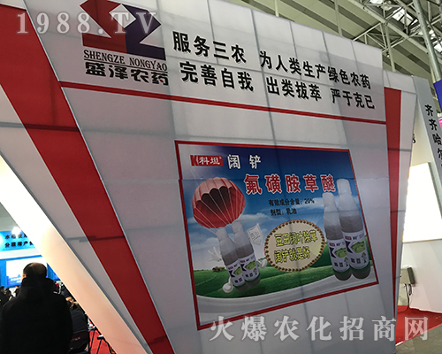 ʢ���rˎ�ذ����u2017������ֲ����