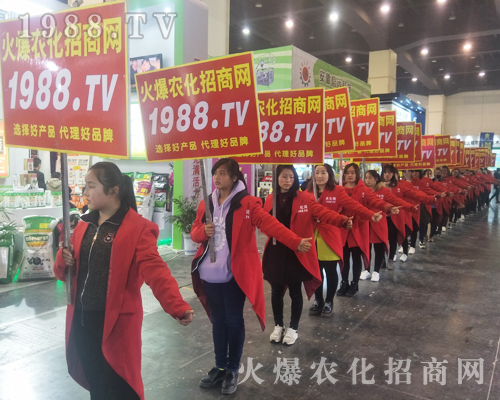 2017����Ϸ����p������1988.TV�����»���