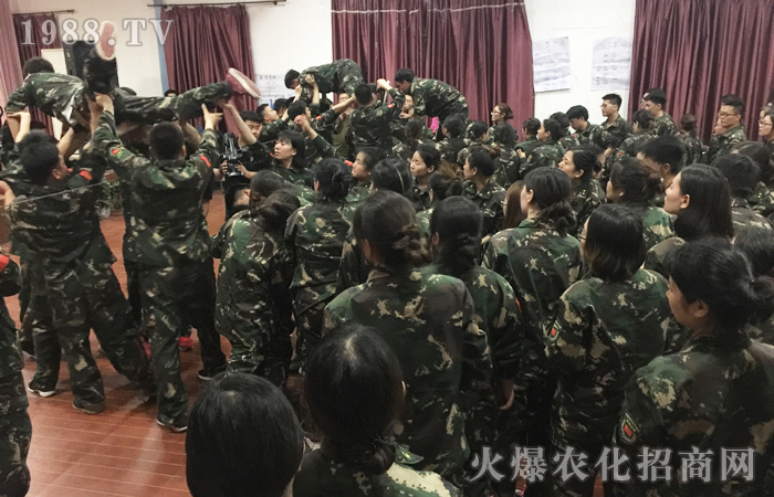 ���𱬾W(w��ng)2017�����X��Ӗ���I����Ӗ���Y(ji��)