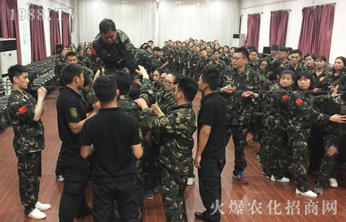 �𱬾W(w��ng)2017�����X��Ӗ(x��n)���I֮�F(tu��n)�(du��)����